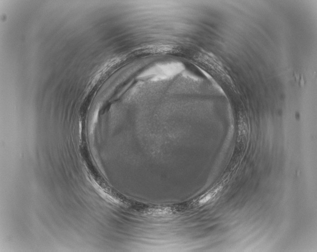 X0000057070110200510071443