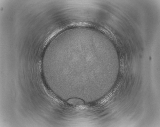 X0000057070111200510071443