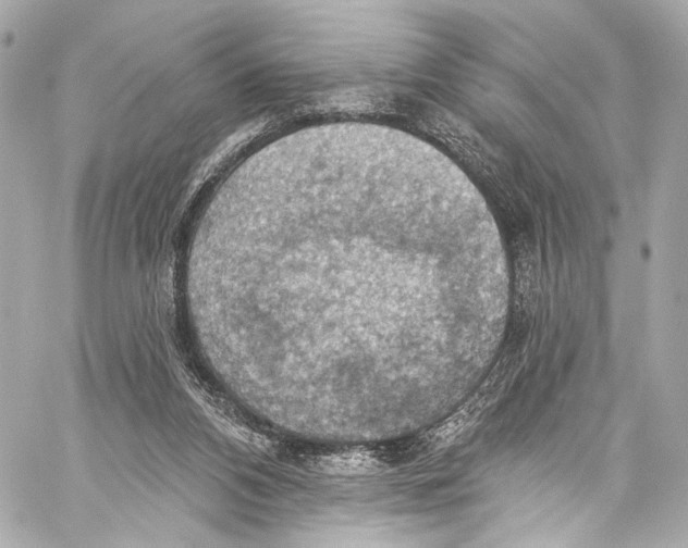 X0000057070112200510071443