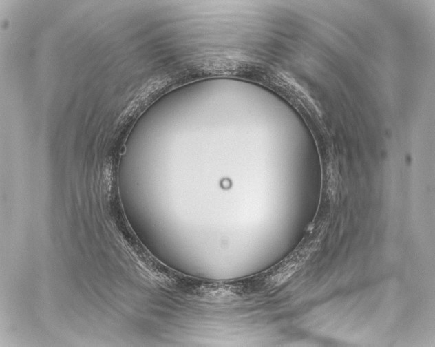 X0000057070113200510071443