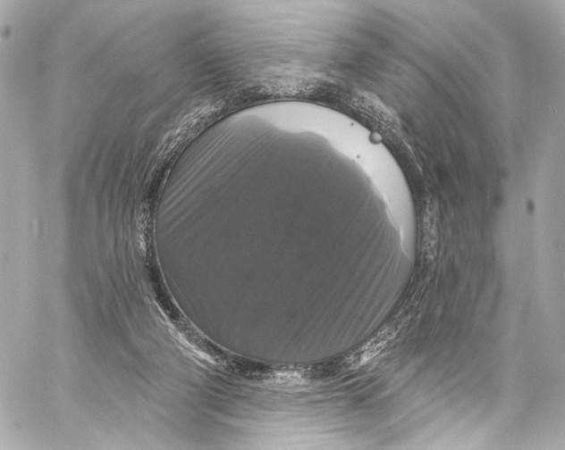 X0000057070114200510071443