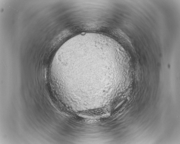 X0000057070115200510071443