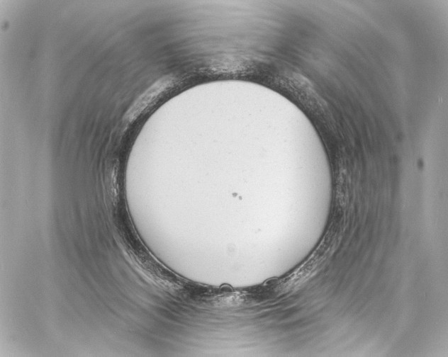 X0000057070116200510071443