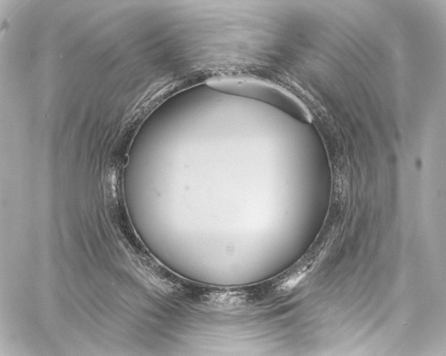 X0000057070117200510071443