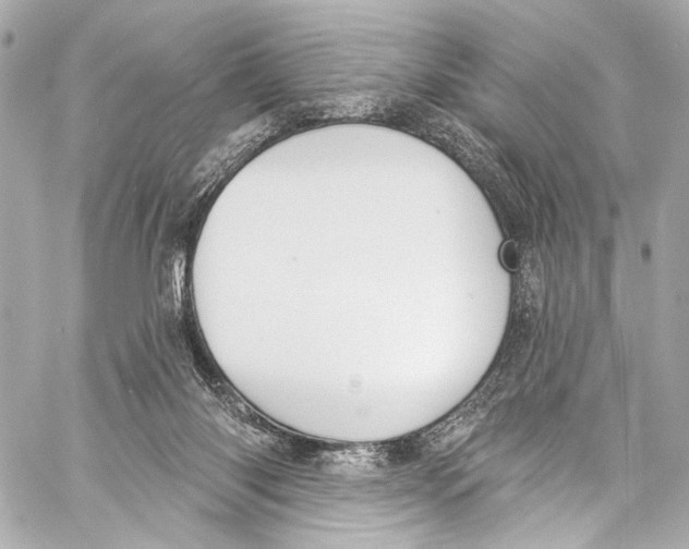 X0000057070118200510071443