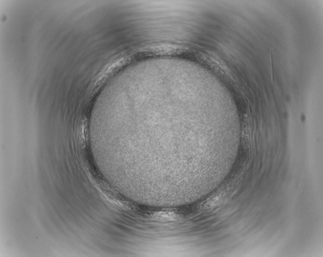 X0000057070119200510071443