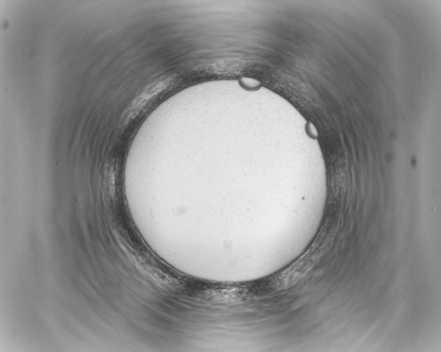 X0000057070120200510071443