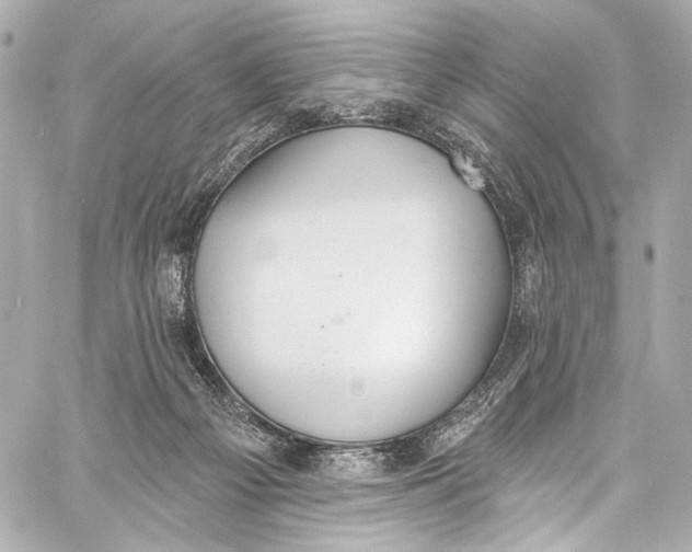 X0000057070121200510071443