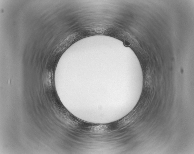 X0000057070122200510071443