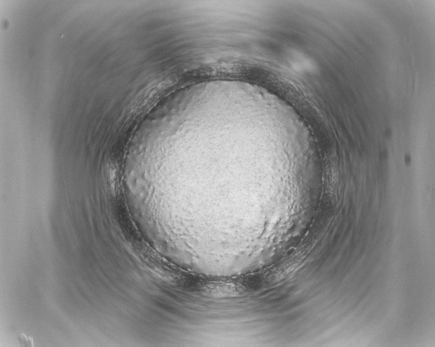 X0000057070123200510071442