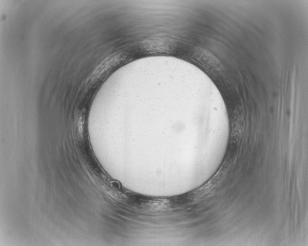 X0000057070124200510071442