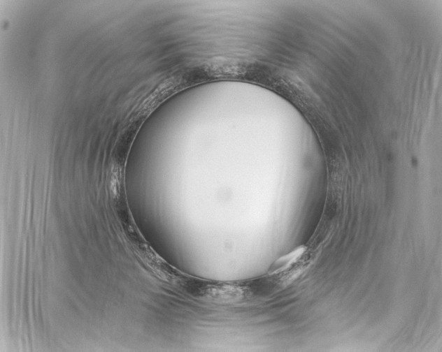 X0000057070125200510071442