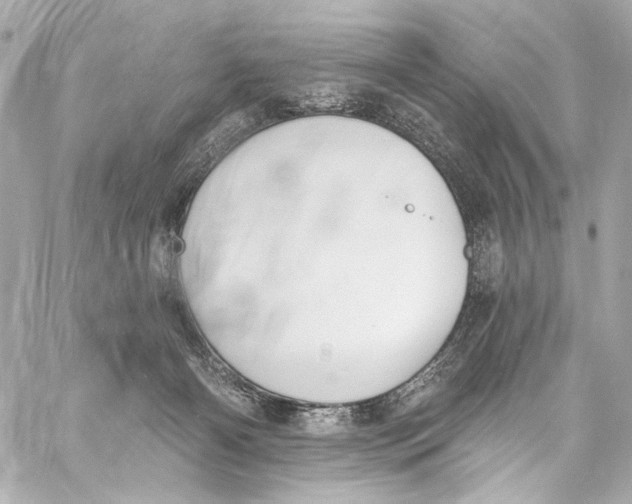 X0000057070126200510071442