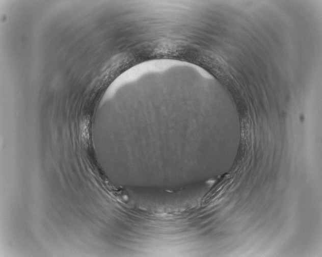 X0000057070127200510071442