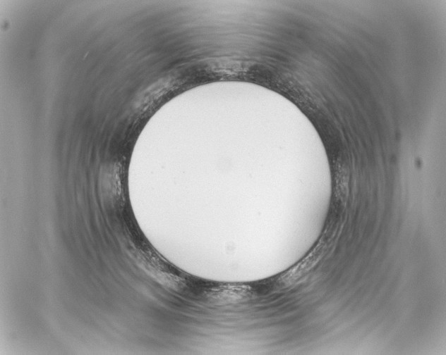 X0000057070128200510071442