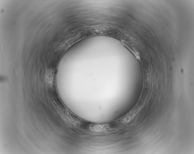 X0000057070129200510071442