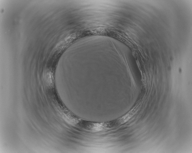 X0000057070130200510071442