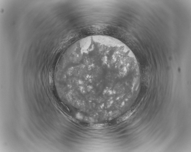 X0000057070131200510071442