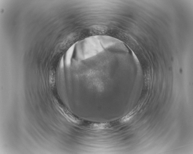 X0000057070134200510071442