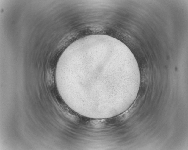 X0000057070136200510071442