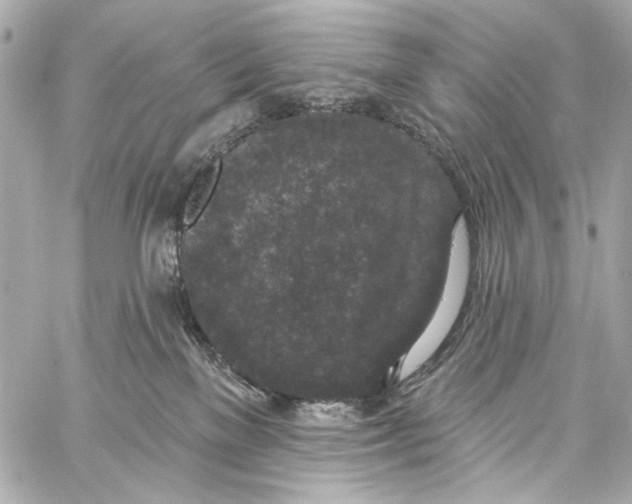 X0000057070137200510071442