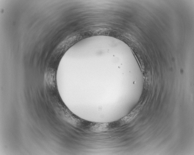 X0000057070138200510071442