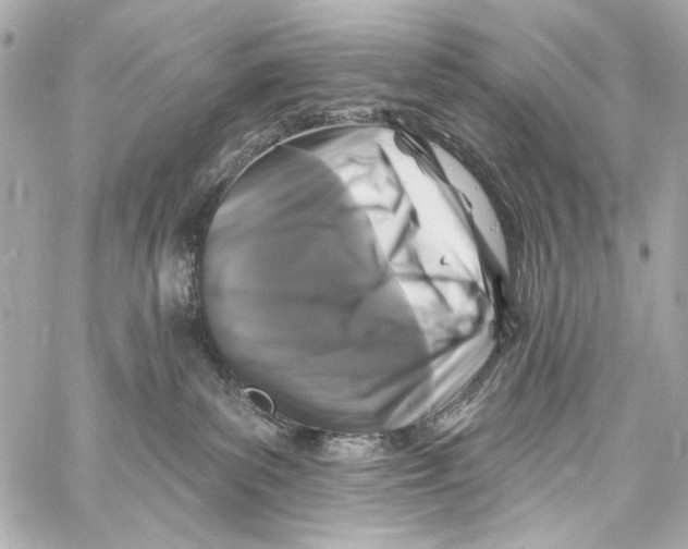 X0000057070139200510071442