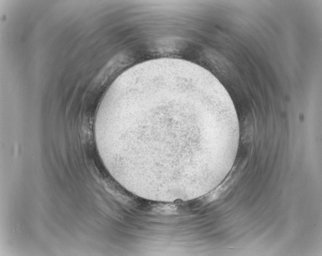 X0000057070140200510071442