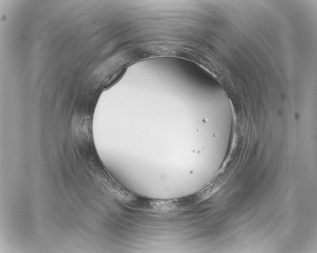 X0000057070141200510071442