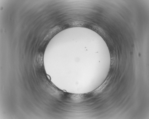 X0000057070142200510071442