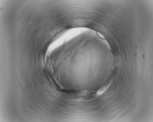 X0000057070143200510071442