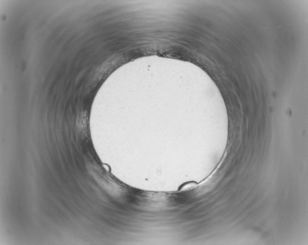 X0000057070144200510071442