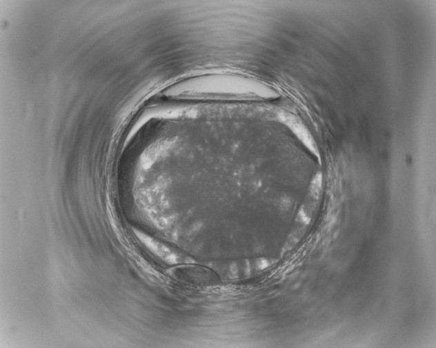 X0000057070145200510071441