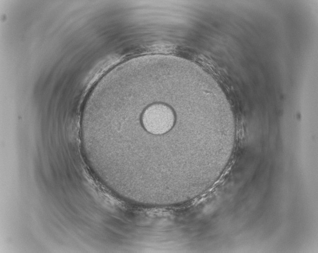 X0000057070146200510071441