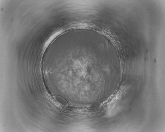 X0000057070147200510071441