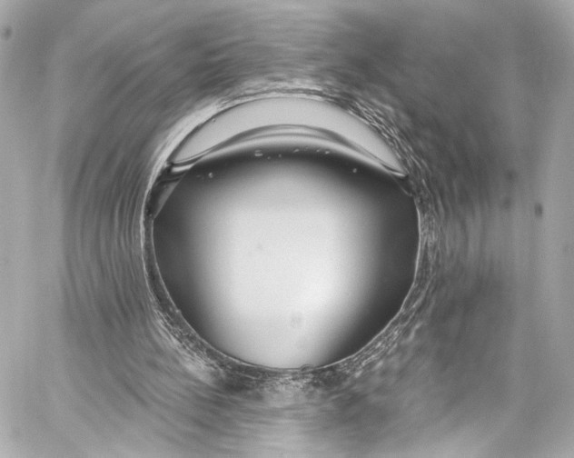 X0000057070148200510071441