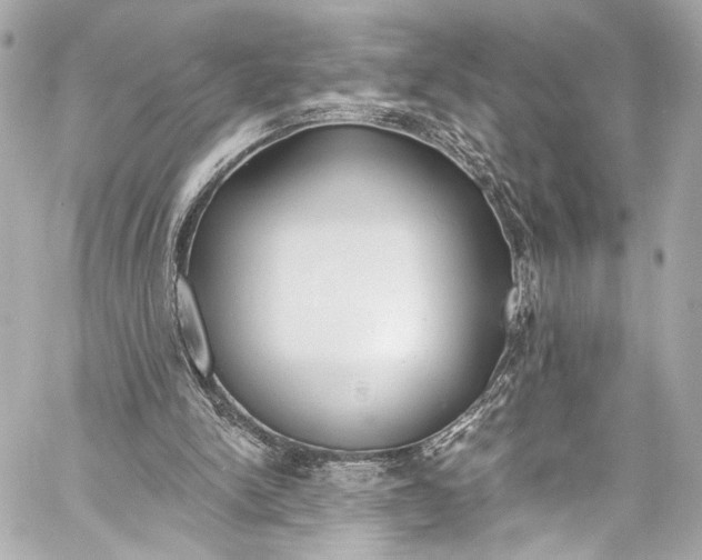 X0000057070150200510071441