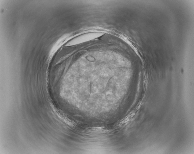 X0000057070151200510071441