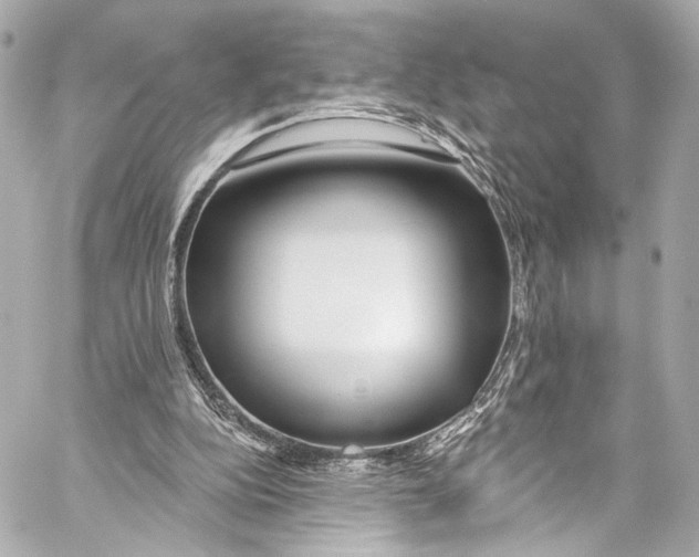 X0000057070152200510071441