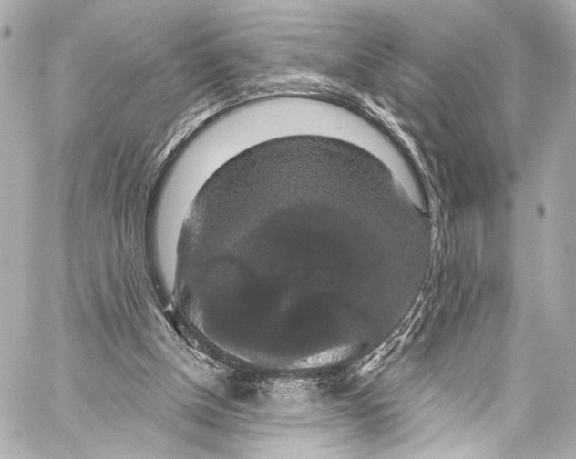 X0000057070154200510071441