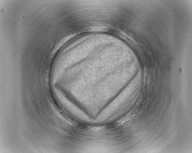 X0000057070155200510071441