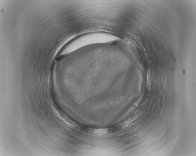 X0000057070156200510071441