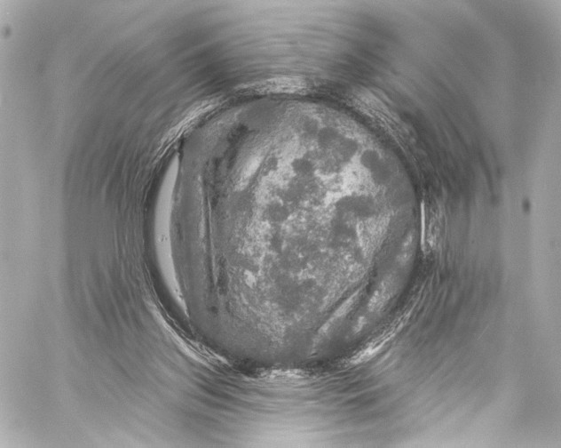 X0000057070157200510071441