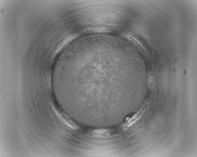 X0000057070158200510071441