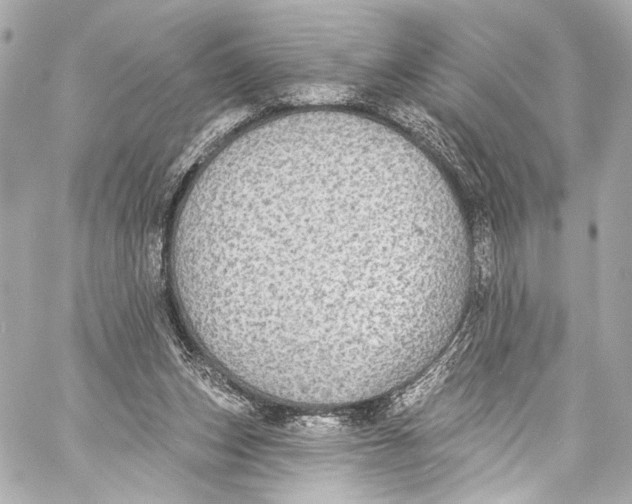 X0000057070159200510071441