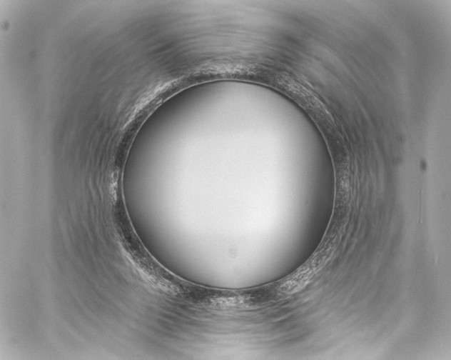 X0000057070160200510071441