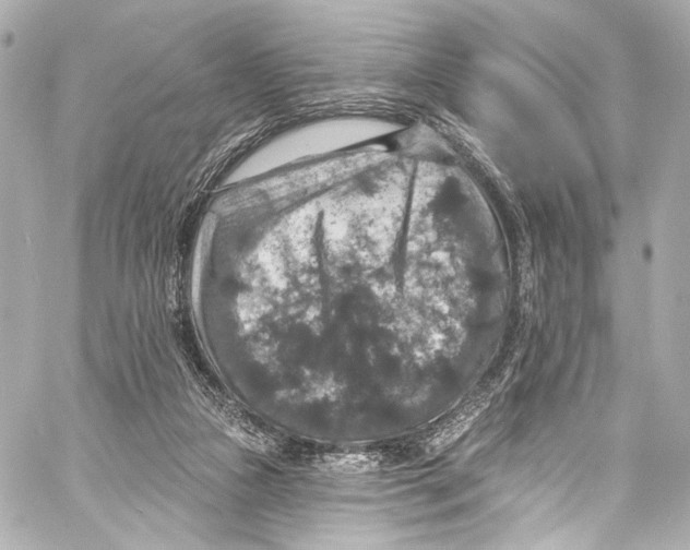 X0000057070161200510071441