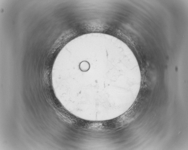 X0000057070162200510071442