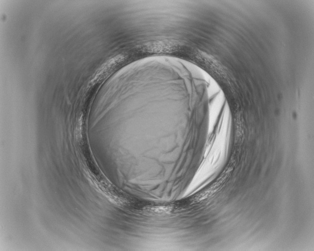 X0000057070163200510071442