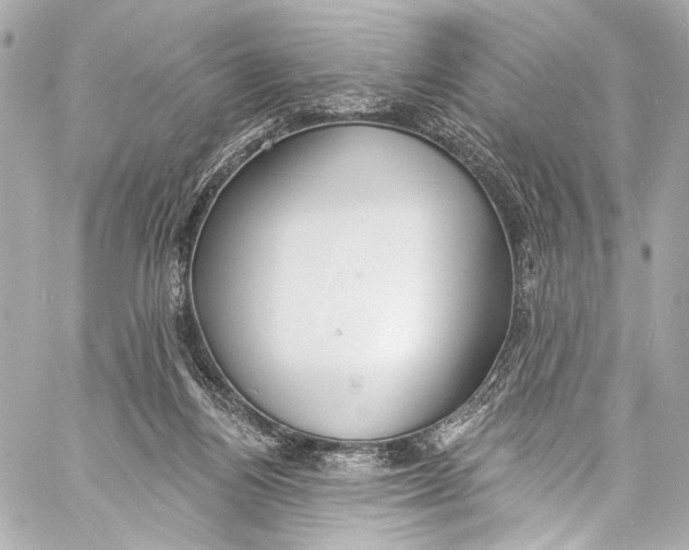 X0000057070164200510071442